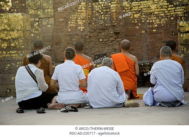 Monks and believers in front of wall covered with gold leaves, Mulgandha Kuti Temple, Isipatana deer park, Sarnath, Uttar Pradesh, India