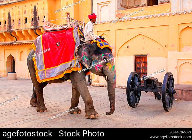Decorated elephant walking in Jaleb Chowk (main courtyard) in Amber Fort, Rajasthan, India. Elephant rides are popular tourist attraction in Amber Fort