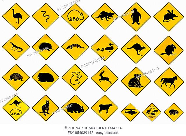 Australian warning signs for wildlife animals: Emu, Echidna, Tasmanian Devil, Wombat, Kangaroo, Penguin, Shark, Ducks Snake Rat Deer reptiles and vehicles