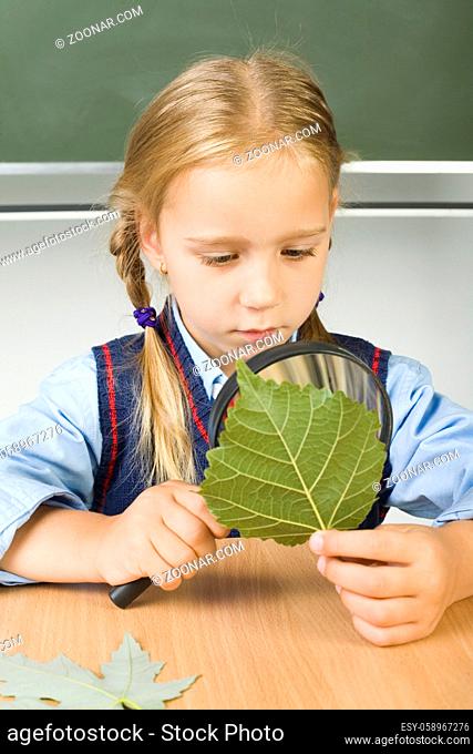 Little girl with magnifying glass in one hand and leaf in other. Looking at something. Sitting at desk in front of blackboard. Front view