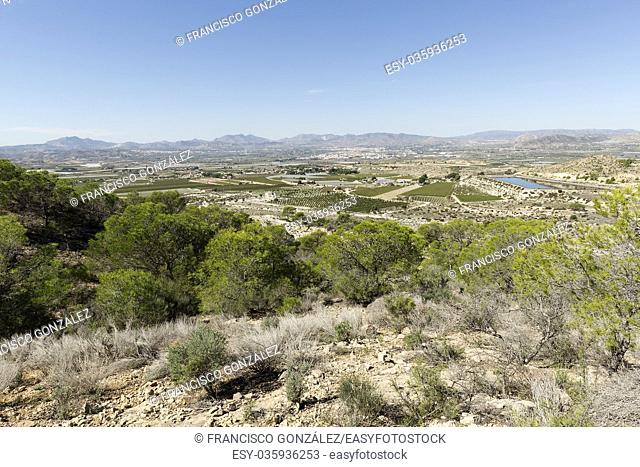 Views of the countryside of Monforte, Aspe and Novelda in the province of Alicante, Spain
