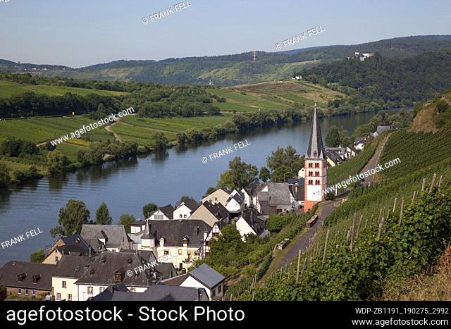 Germany, Rhineland-Palatinate, Mosel Valley, Zell-Merl Village & Church from Vineyard