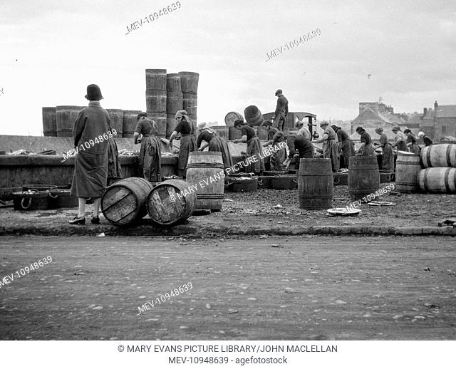 Fishery workers engrossed in their work, surrounded by barrels on a quayside