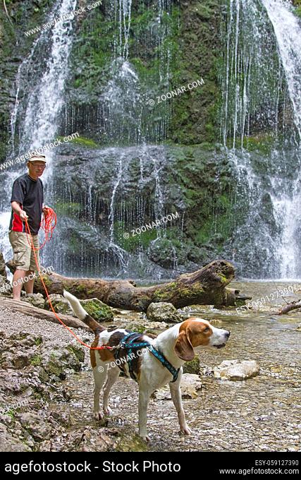 Beagle unternimmt mit seinem Herrchen einen Spaziergang am Josefstaler Wasserfall in Oberbayern