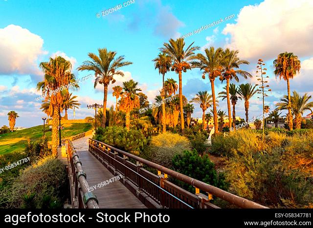 Picturesque bridge over a ravine. Evening twilight over Old Jaffa. Sunset. Old Yaffo, Tel Aviv. Palm trees on the hill