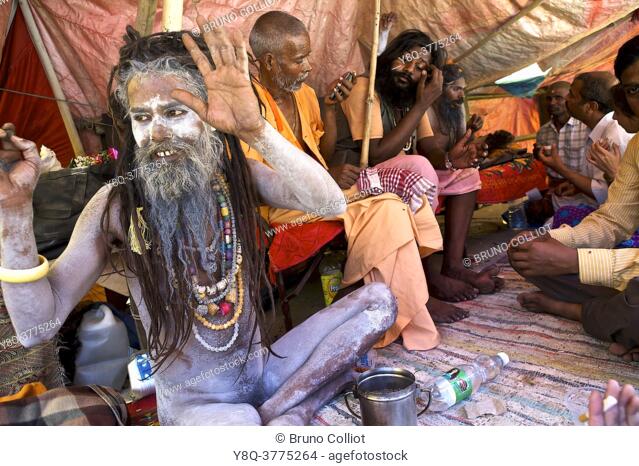 nagas baba encampment or numbers of hindu pilgrims come to receive good karma, on the ghats in benares awaiting the shivaratri, UP, india