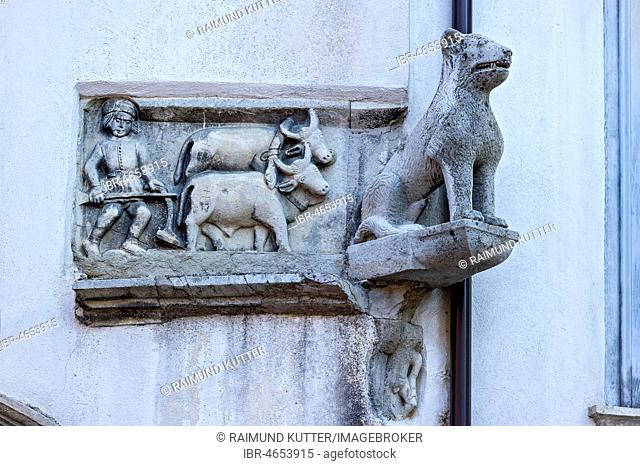 Venetian sculpture, coat of arms, Stemma Palazzo Fioriti, stone dog or wolf with relief of oxen with ploughed peasants on facade, Palazzo Fioriti, Old Town