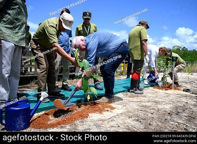 18 February 2023, Malaysia, Kuching: German President Frank-Walter Steinmeier and his wife Elke Büdenbender plant two mangrove trees in Kuching Wetland National...