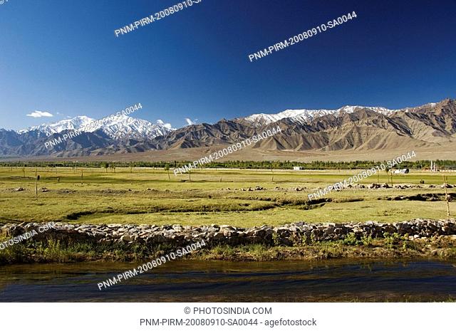 Pasture in front of a mountain range, Sindhu Darshan Site, Leh, Ladakh, Jammu and Kashmir, India