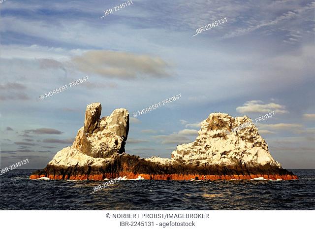 Roca Partida, Broken Rock, 24m, camel-shaped rock, known diving site, Revillagigedo Islands, Mexico, North America, Eastern Pacific