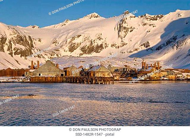 Stilt houses in front of snow covered mountains, Leith Harbour, South Georgia Island, South Sandwich Islands