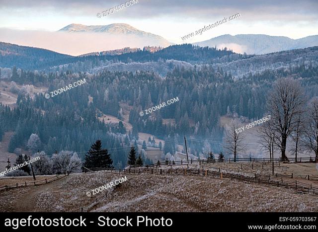Winter coming. Picturesque foggy and moody morning scene in late autumn mountain countryside with hoarfrost on grasses, trees, slopes