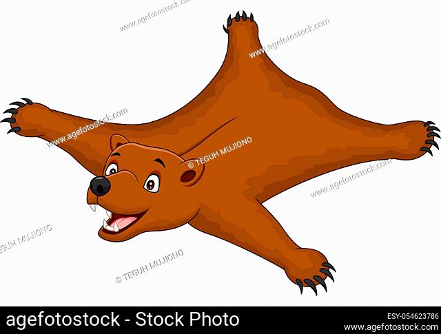 Brown bear rug isolated on white background