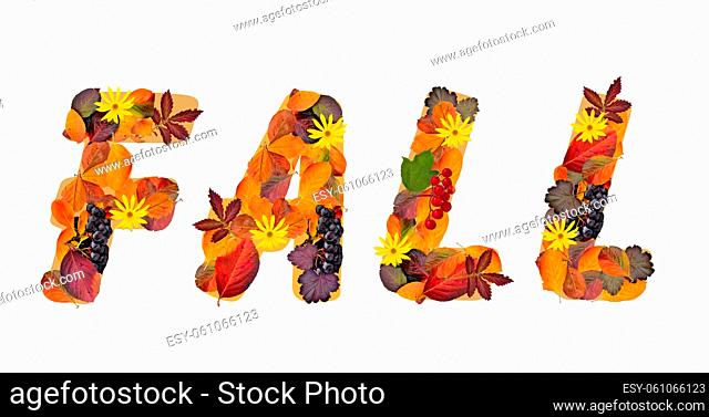 Word Fall composed from bright, colorful autumn leaves of different plants and red and purple berries isolated on a white background