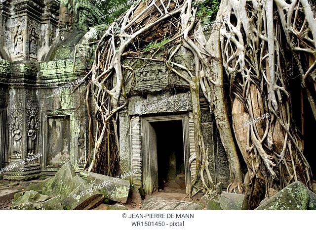 Ta Prohm temple dating from the mid 12th to early 13th centuries, Angkor, UNESCO World Heritage Site, Siem Reap, Cambodia, Indochina, Southeast Asia, Asia