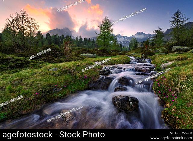 Mountain stream, Alps, Grisons, Switzerland, Europe