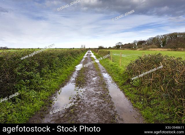 A muddy farm track and public footpath in winter near Dunster Beach, Somerset, England