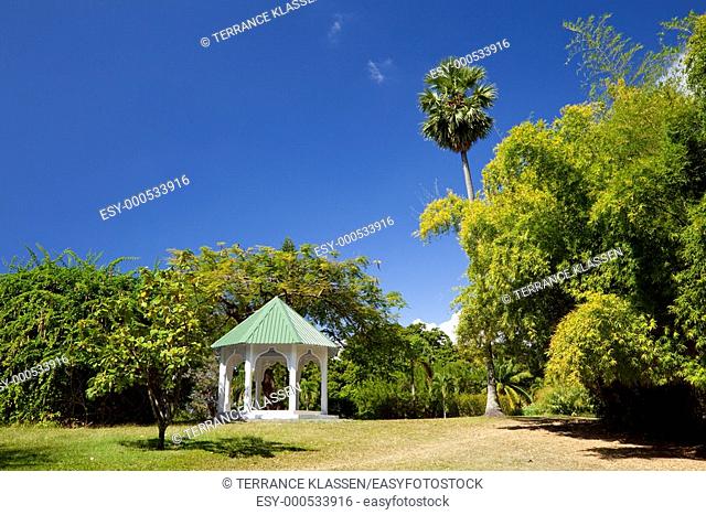 The Botanical Gardens in Roseau, Dominica, West Indies