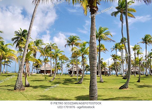 San Blás Panama: palm trees of Yandup Lodge, on a little island of Kuna Yala