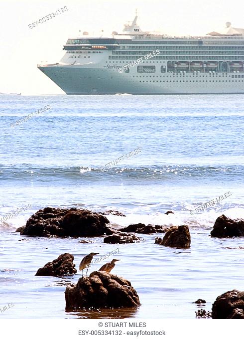Cruise Ship Sailing Near The Seashore
