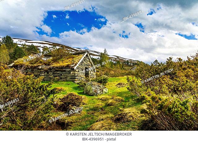 Old hut with a grass roof, Utvikfjell, Byrkjelo, Utvik, Hordaland, Norway
