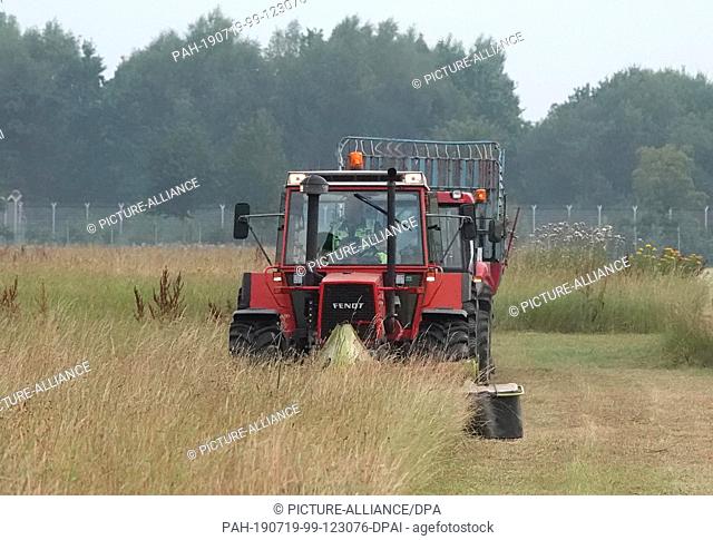 19 July 2019, Hamburg: A tractor mows grass on the grounds of Hamburg Airport, which is brought to Hagenbeck's zoo every morning and fed to the animals there