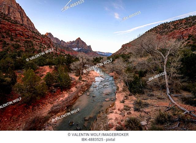 River Virgin River flows through Zion Canyon, Canyon Junction Bridge, Zion National Park, Utah, USA