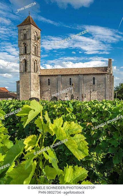 France, Gironde, Montagne, St Georges church appearing in the AOC St Georges-St Emilion vineyard