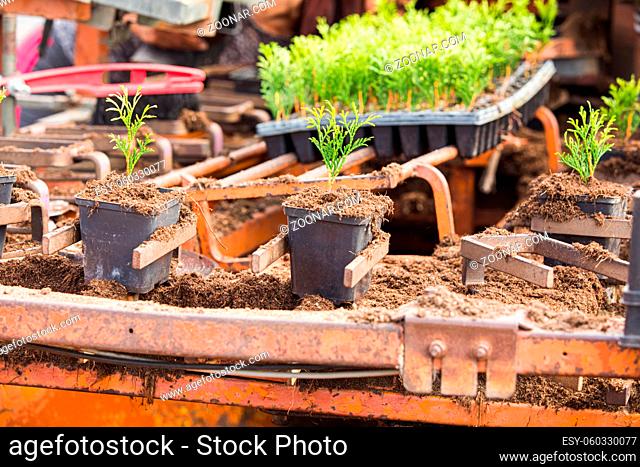 Process of preparing soil for planting potted flowers using agricultural machinery. Developing farming methods. Closeup machinery with soil