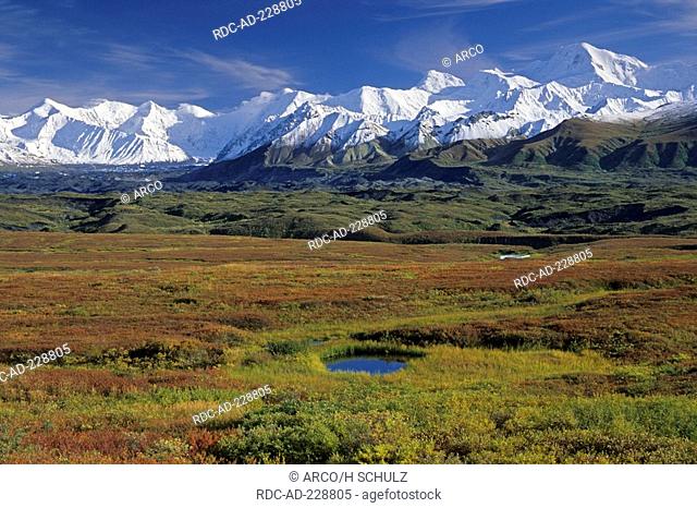 Alaska range, Denali national park, Alaska, USA