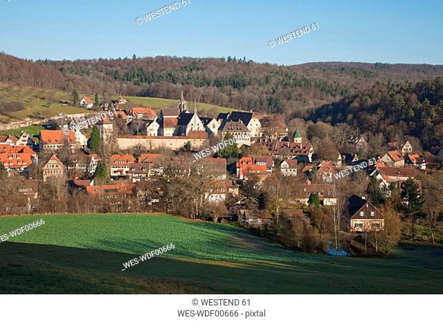 Germany, Baden-Wuerttemberg, Tuebingen, view of the town with Bebenhausen Monastery