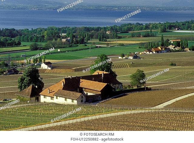 vineyards, Switzerland, La Cote, Vaud, Rolle, Lake Geneva, Europe, Scenic view of the countryside covered with vineyards and the village of Rolle in the spring...