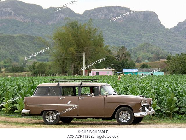 Chevrolet wagon by tobacco fileds, Trinidad, Cuba