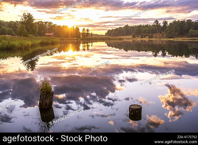Wooden dock pilings in the water of the St. Anna Archipelago with the reflection of sunset lit clouds. Östgöta Archipelago, Söderköping, Sweden