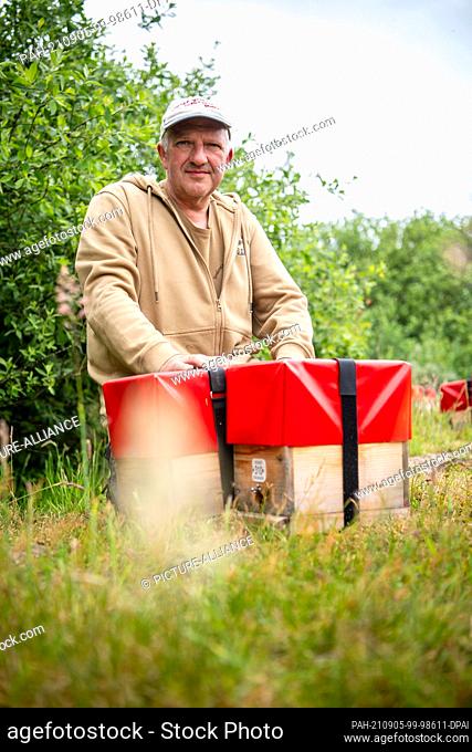 24 June 2021, Lower Saxony, Baltrum: Heiner Buschhausen, beekeeper, sets up his hives in the dunes of Baltrum. Baltrum is not really a land of milk and honey...