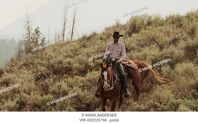 Medium shot of young man horseback riding down hillside / Idaho, United States
