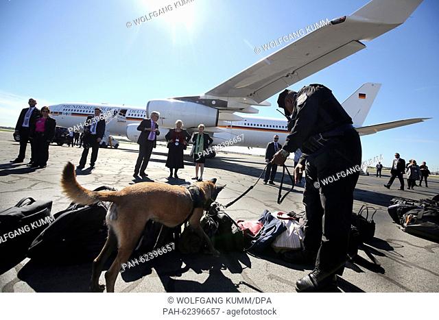 A bomb-sniffing dog sniffs the luggage of the delegation members before the government airplane takes off for Washington at the airport in Philadelphia, USA