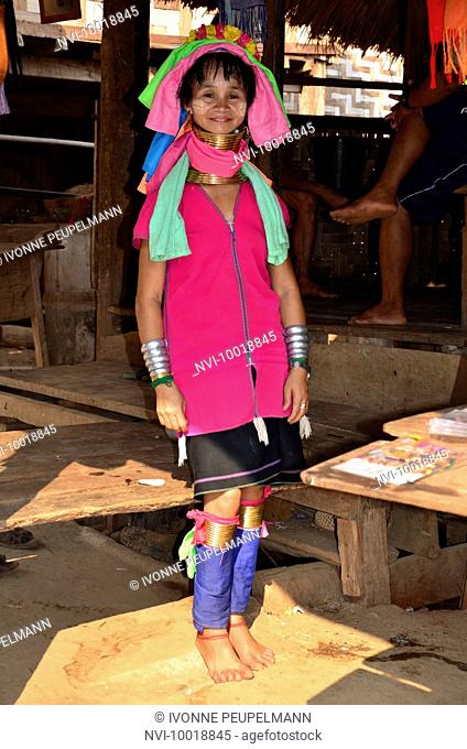 Padaung woman from the tribe of the Karen with traditional neck ring,  Thailand, Southeast Asia, Stock Photo, Picture And Rights Managed Image.  Pic. NVI-10018845