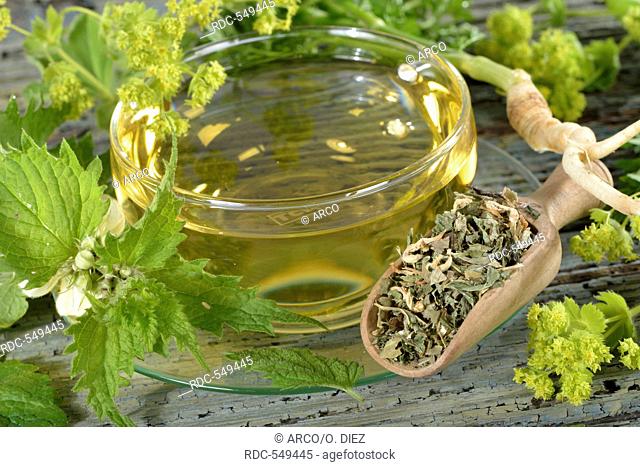 Menopause tea, alchemilla, lady’s mantle, parsley root, white dead nettle, archangel, balm / (Alchemilla vulgaris, petroselinum crispum, lamium album
