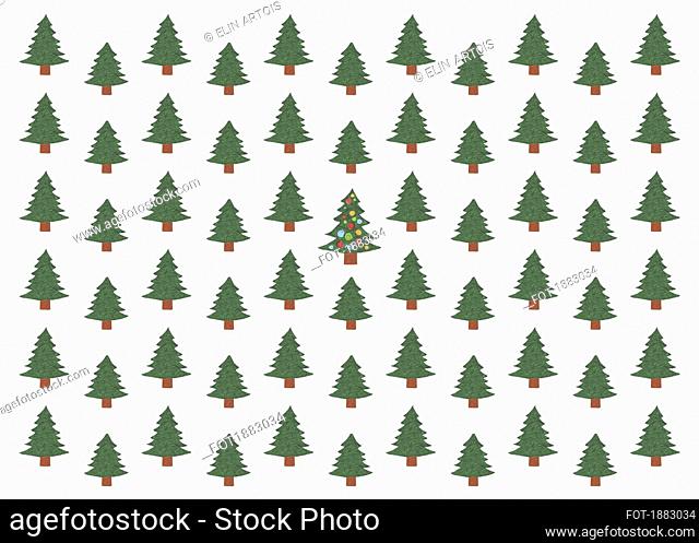 Illustration of green Christmas tree in forest