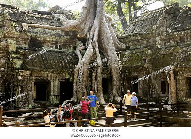 Cambodia, tourists at tree overgrowing building in Ta Prohm temple complex