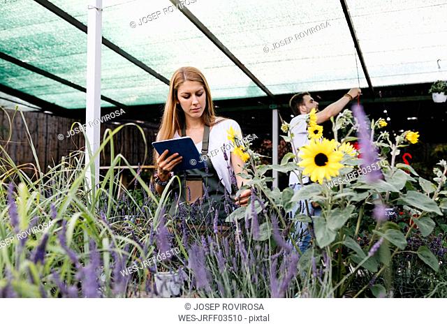 Female worker in a garden center with a tablet caring for flowers