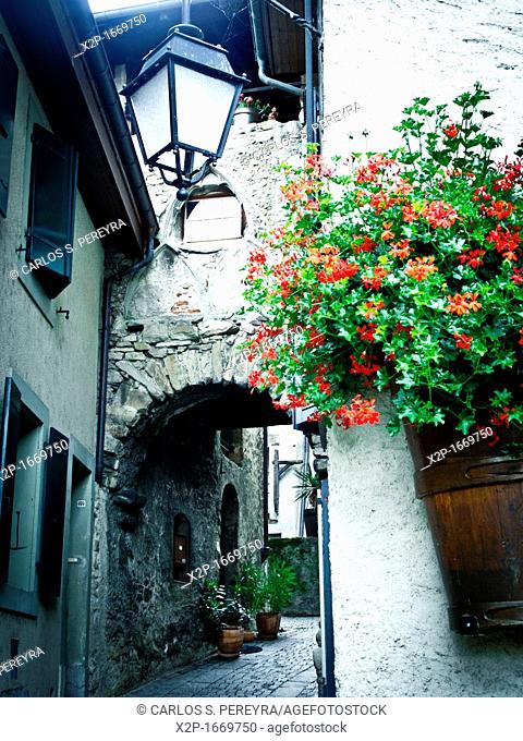 Saint-Saphorin village in the Lavaux UNESCO World Heritage region, Vaud, Switzerland, Europe