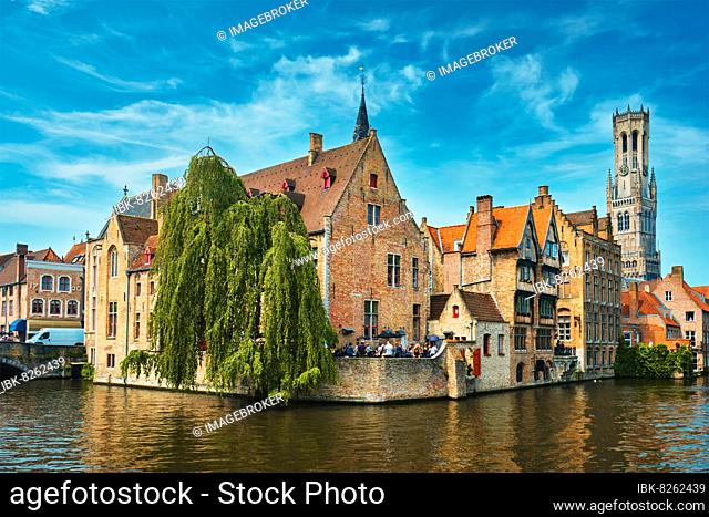 Famous view of Bruges tourist landmark attraction, Rozenhoedkaai canal with Belfry and old houses along canal with tree, Brugge, Belgium, Europe