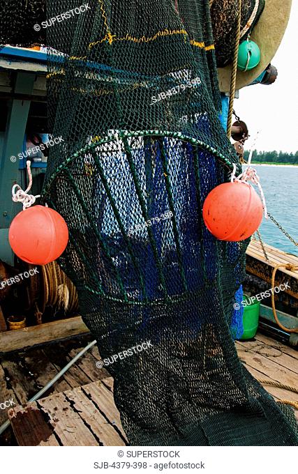 A trawl net with a turtle exclusion device in place. The device allows captured sea turtles to escape the net