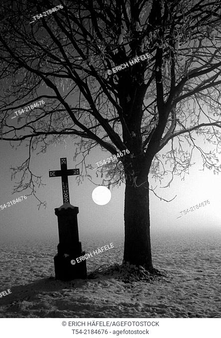Cross beside a bare tree on a cold full moon night