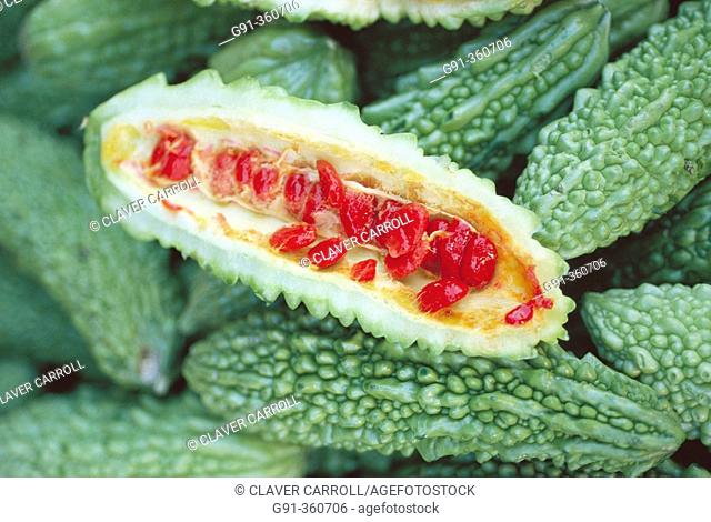 Bitter melon (Momordica charantia) therapeutic remedy in Phillippines