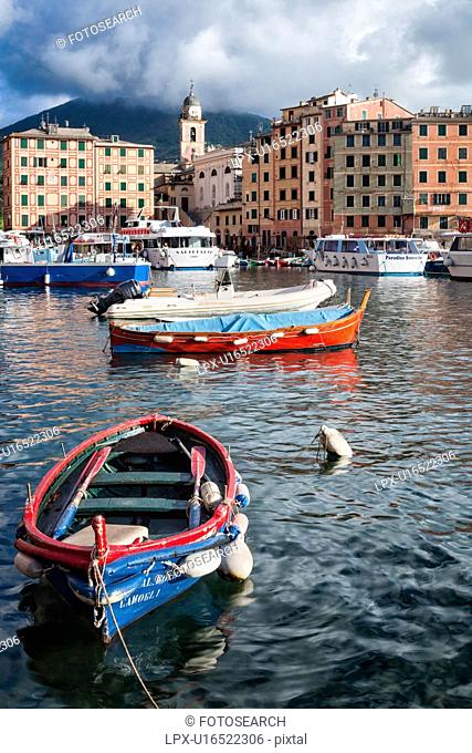 Camogli: fishing boats and motor launches in harbour with church tower and brightly painted apartment buildings behind, late afternoon sunlight, Liguria, Italy
