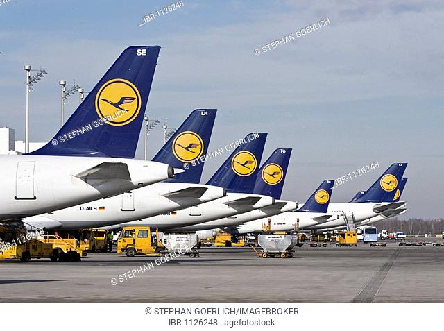 Passenger planes of the German airline Lufthansa standing at Terminal 2 on Munich Airport, Bavaria, Germany, Europe