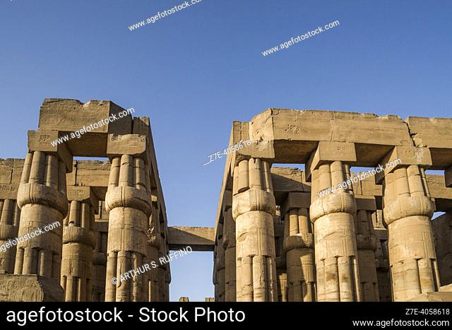 Lotus bud capital columns. Hypostyle Hall. Luxor Temple, Luxor, Luxor Governorate, Egypt, Africa, Middle East